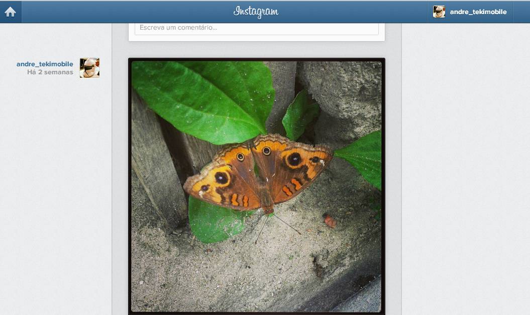 Instagram lança versão web com direito a fotos em alta resolução 1
