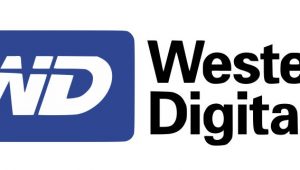 Western Digital continua com marcas Sandisk e WD em diferentes nichos 4