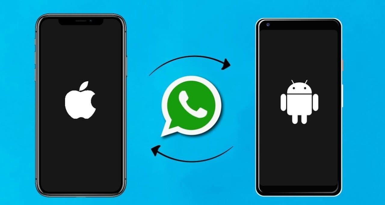 whatsapp android iphone