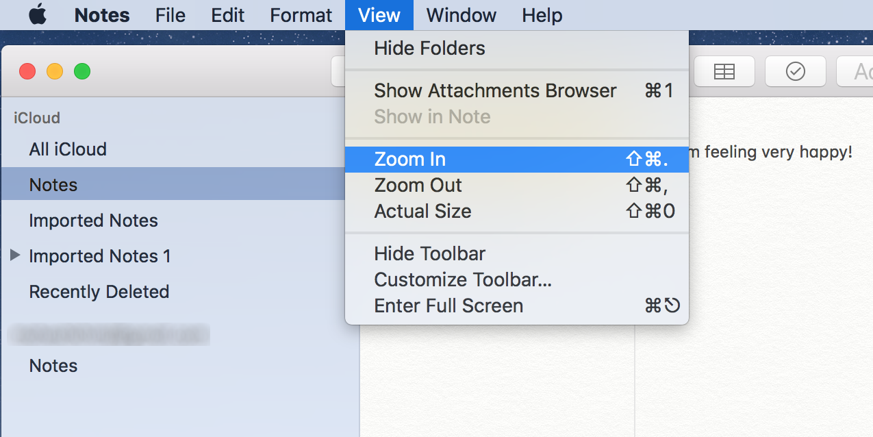 zoom in apple notes no mac