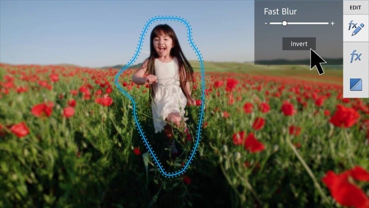 Adobe apresenta Photoshop Elements 2021 e Premiere Elements 2021