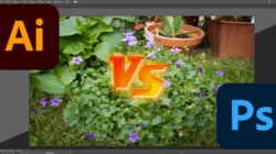 Adobe Illustrator x Photoshop: Qual é a diferença? 4