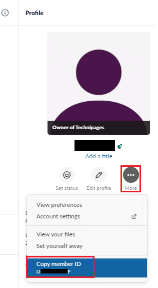 Slack: Como Encontrar a Identificação de um Membro 8