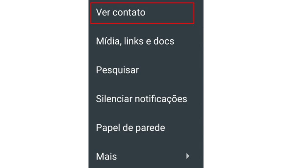 Na imagem vemos a opção de ver contato