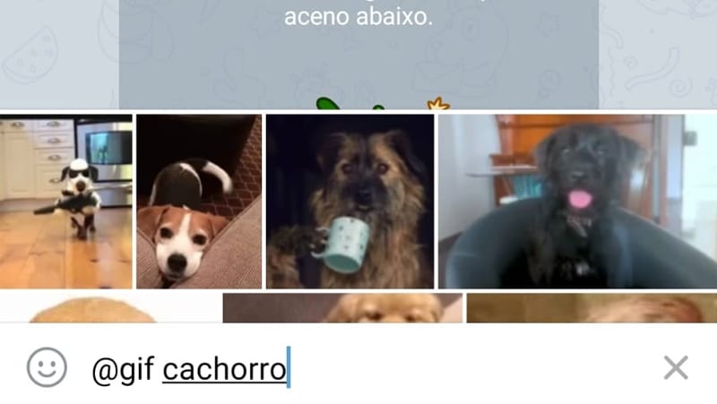 na imagem vemos o bot busca de cachorro telegram