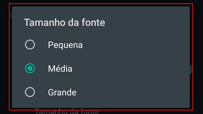 escolha qualquer tamanho de fonte