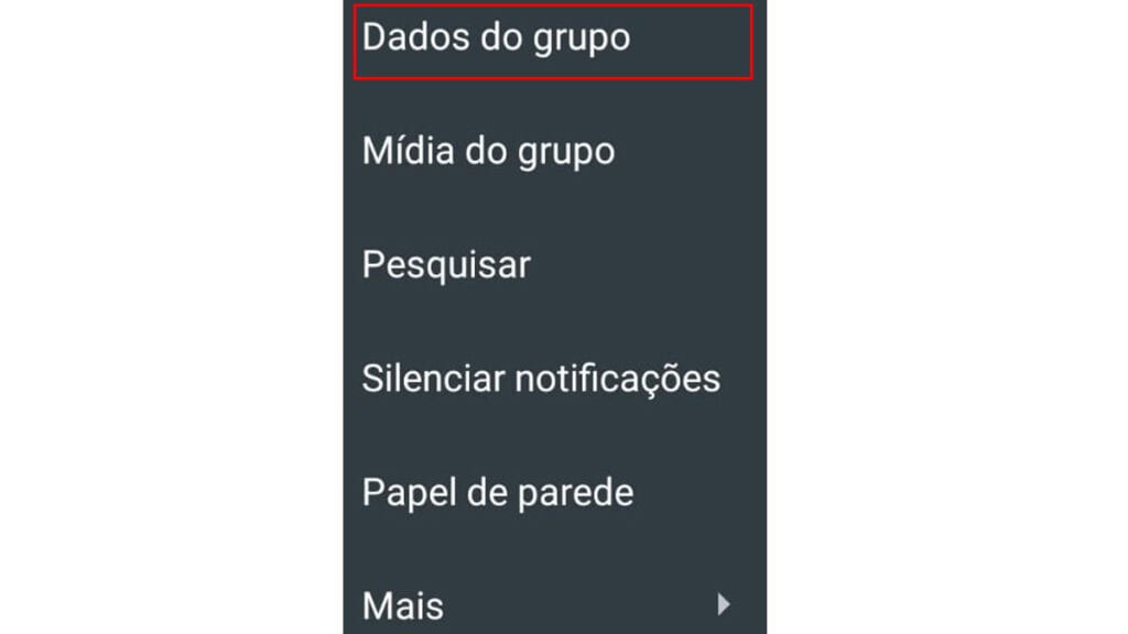 Dados do grupo é exibido na imagem