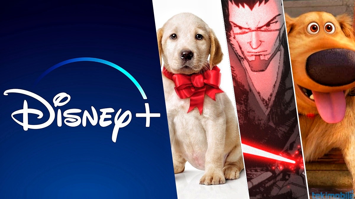 Disney Plus setembro: destaques são Star Wars Visions e a Vida de Dug 1
