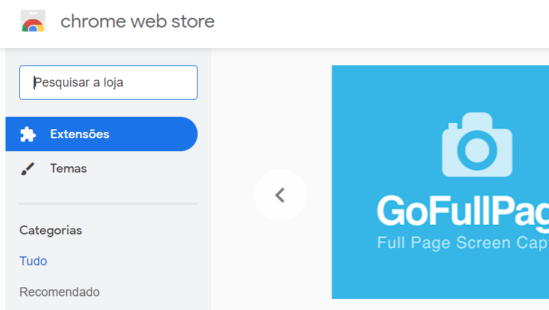 chrome web store traz várias opções