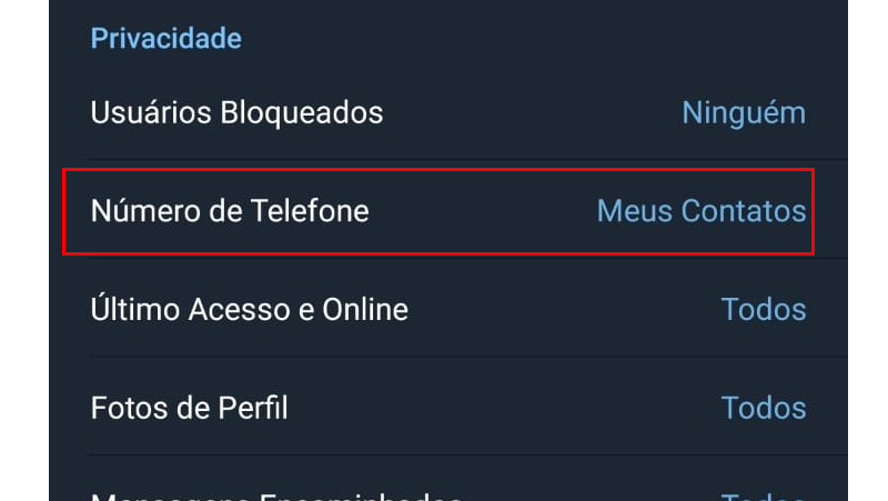 vá em número de telefone