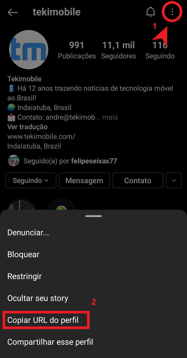 Toque em Copiar link do Instagram do perfil selecionado 