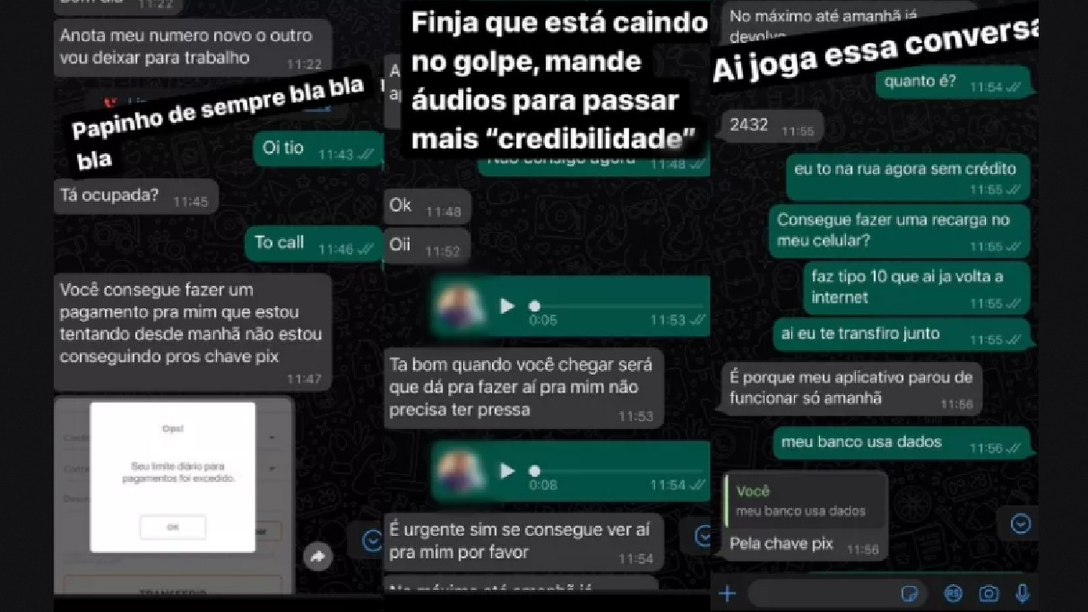 Usuário do WhatsApp dá golpe em criminoso golpista 12