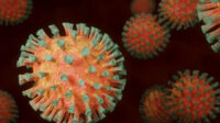 Coronavírus fica 90% mais fraco em 20 minutos no ar, diz estudo 3