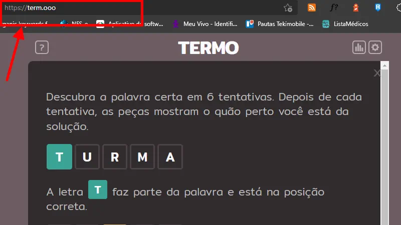 tela onde acessa o site do jogo termo para iniciar o jogo no pc ou celular