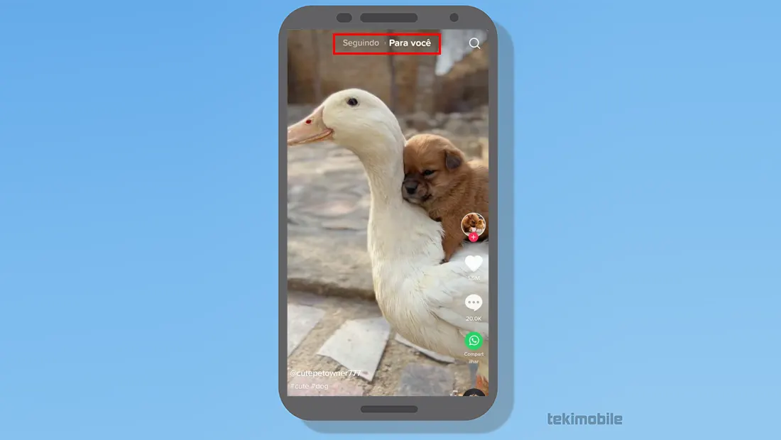 O aplicativo do TikTok possui dois feeds para você