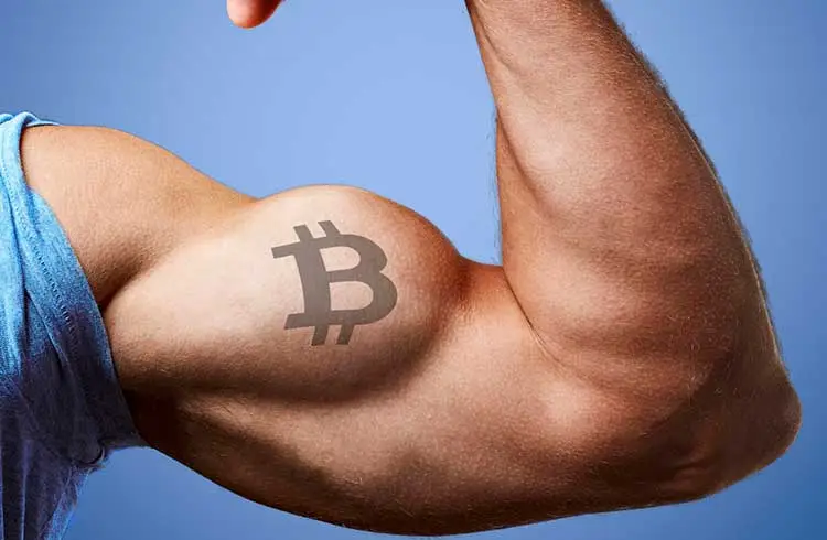 É 2022 um ano perfeito para investir em Bitcoin? 4
