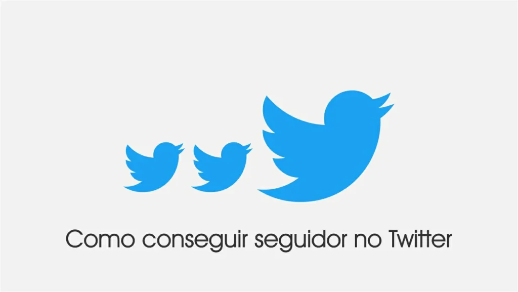 Como conseguir seguidor no Twitter