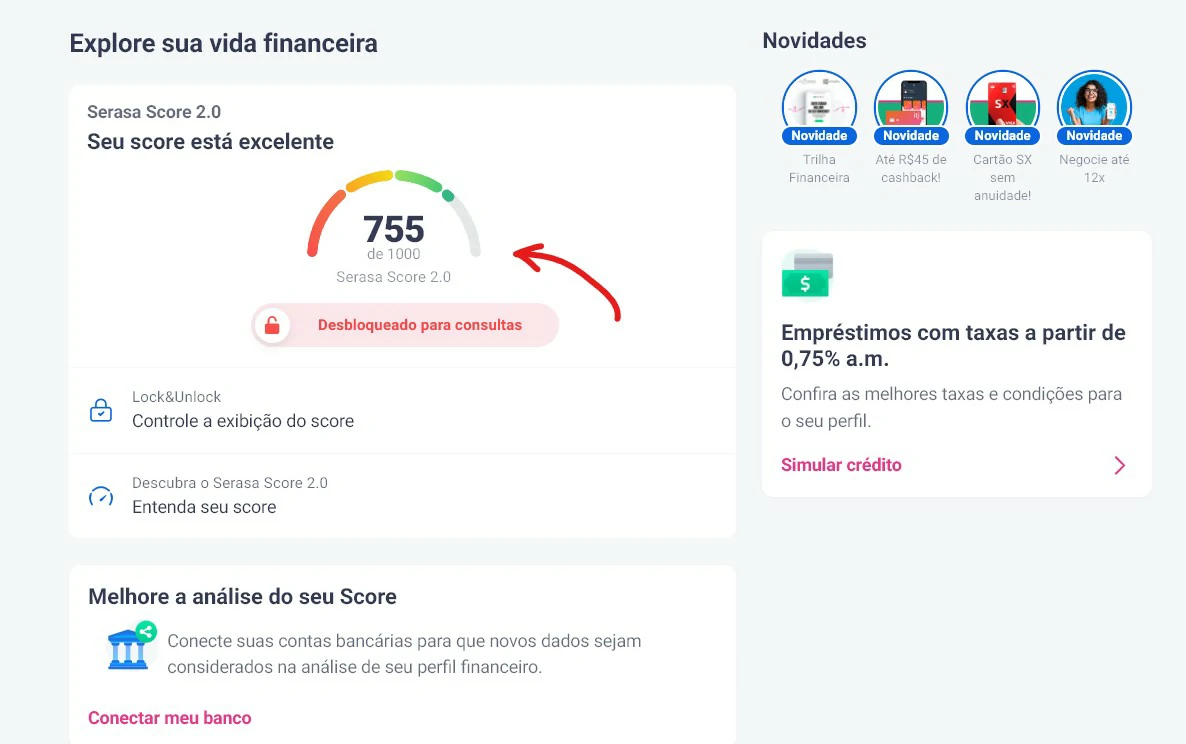 Confira seu score - Como consultar CPF no Serasa