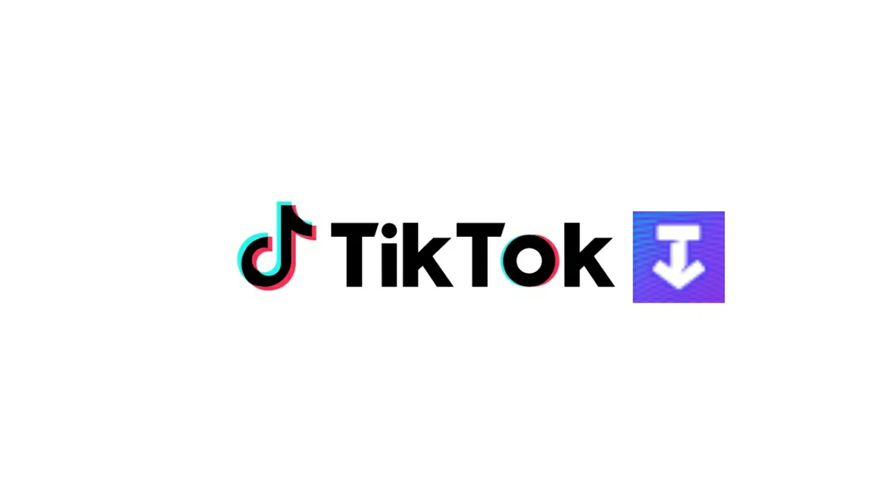 SSSTiktok como baixar vídeos do TikTok com ele