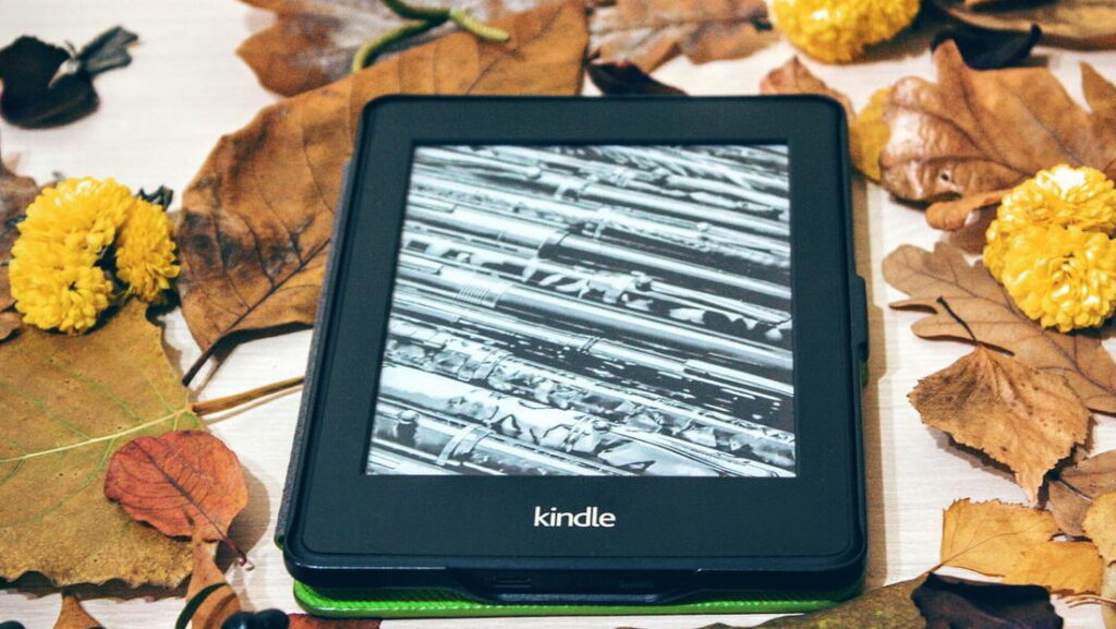 Saiba o que é Kindle dispositivo e serviço