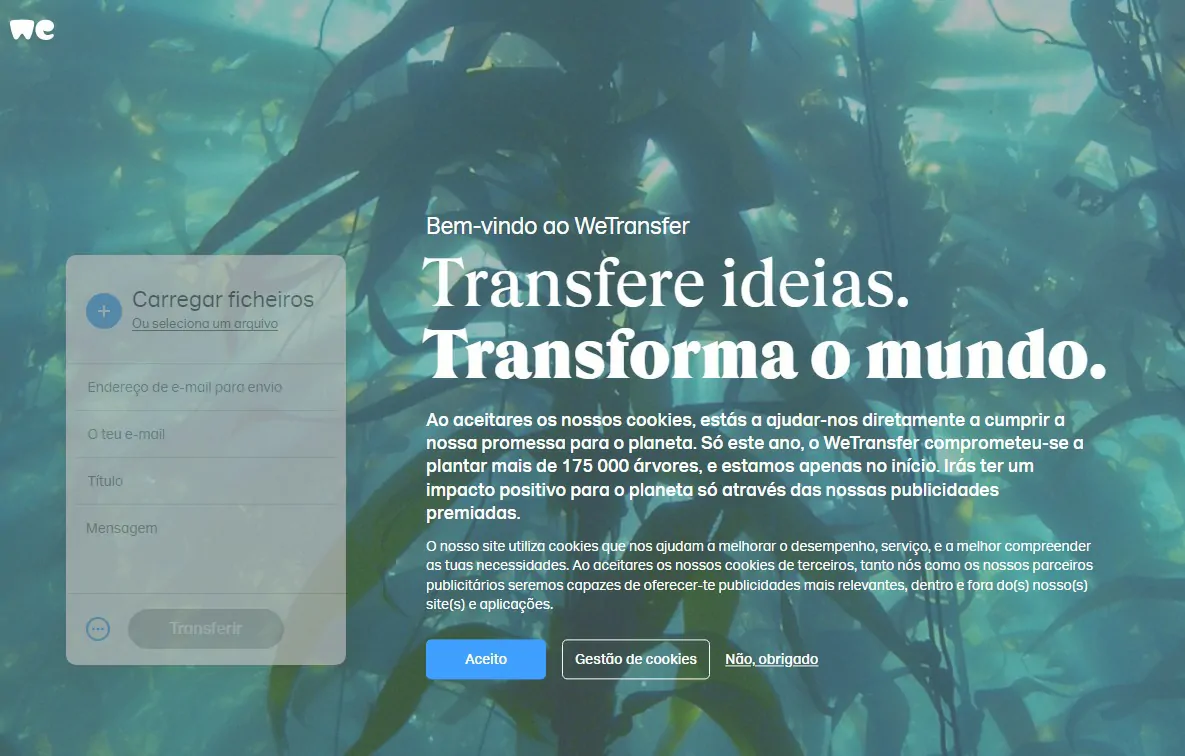 Clique em Aceito - Como usar o WeTransfer para enviar arquivos