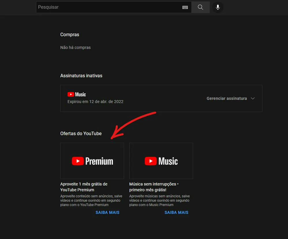 Selecione a opção YouTube Premium - Como assinar o Youtube Premium [tirar anúncios]