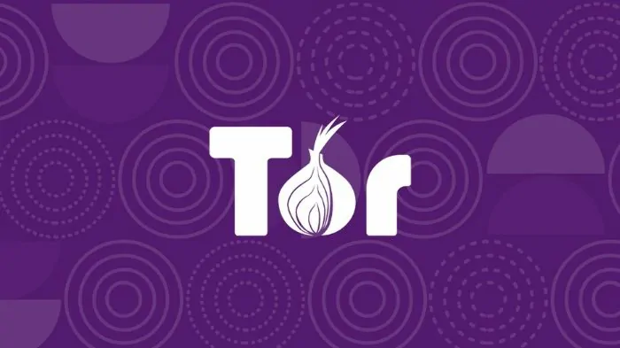 Tor Browser - 7 melhores navegadores em 2022