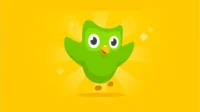 6 dicas para usar melhor o Duolingo
