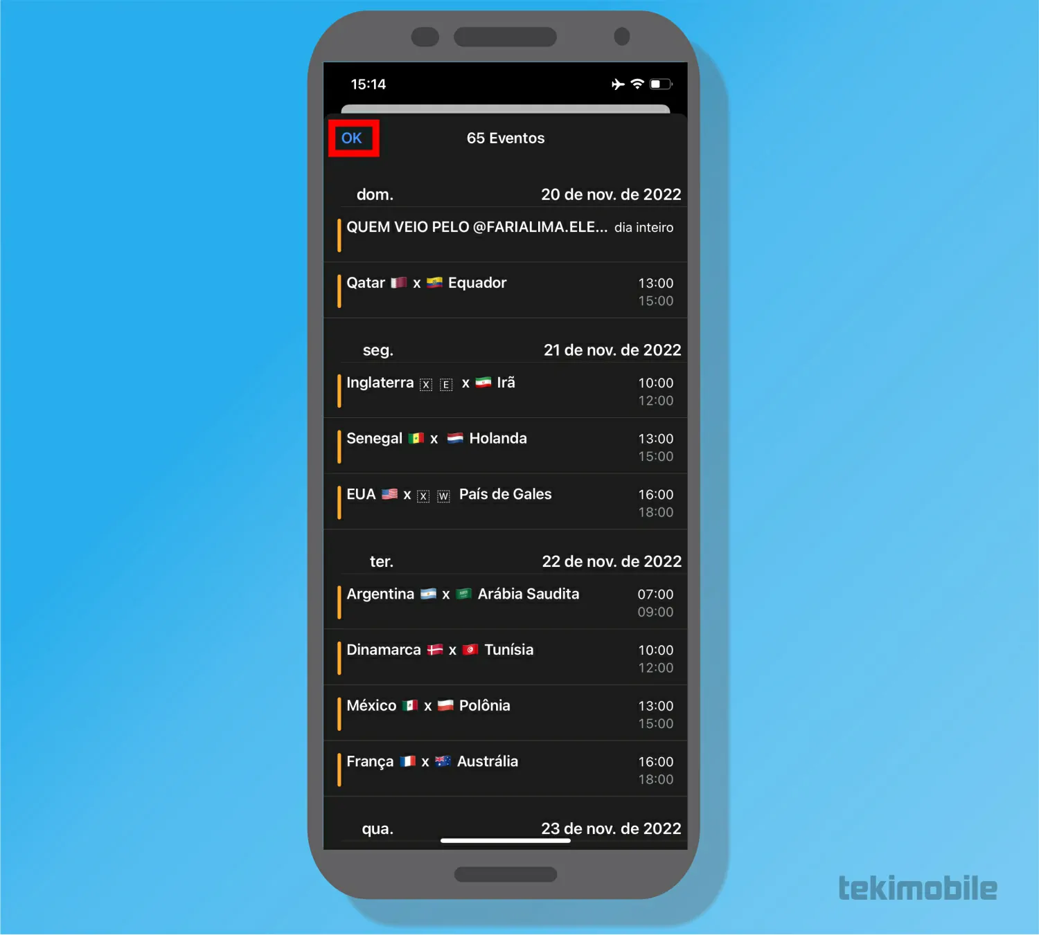 Toque em OK para confirmar - Como agendar jogos da Copa do Mundo no Google Agenda e Calendario do iOS
