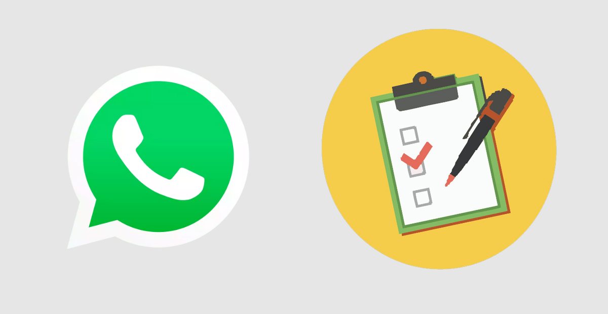 enquetes no whatsapp app