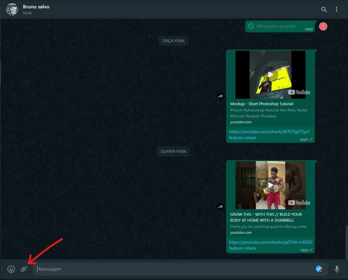 Clique sobre armazenar - Como desfocar imagens pelo WhatsApp