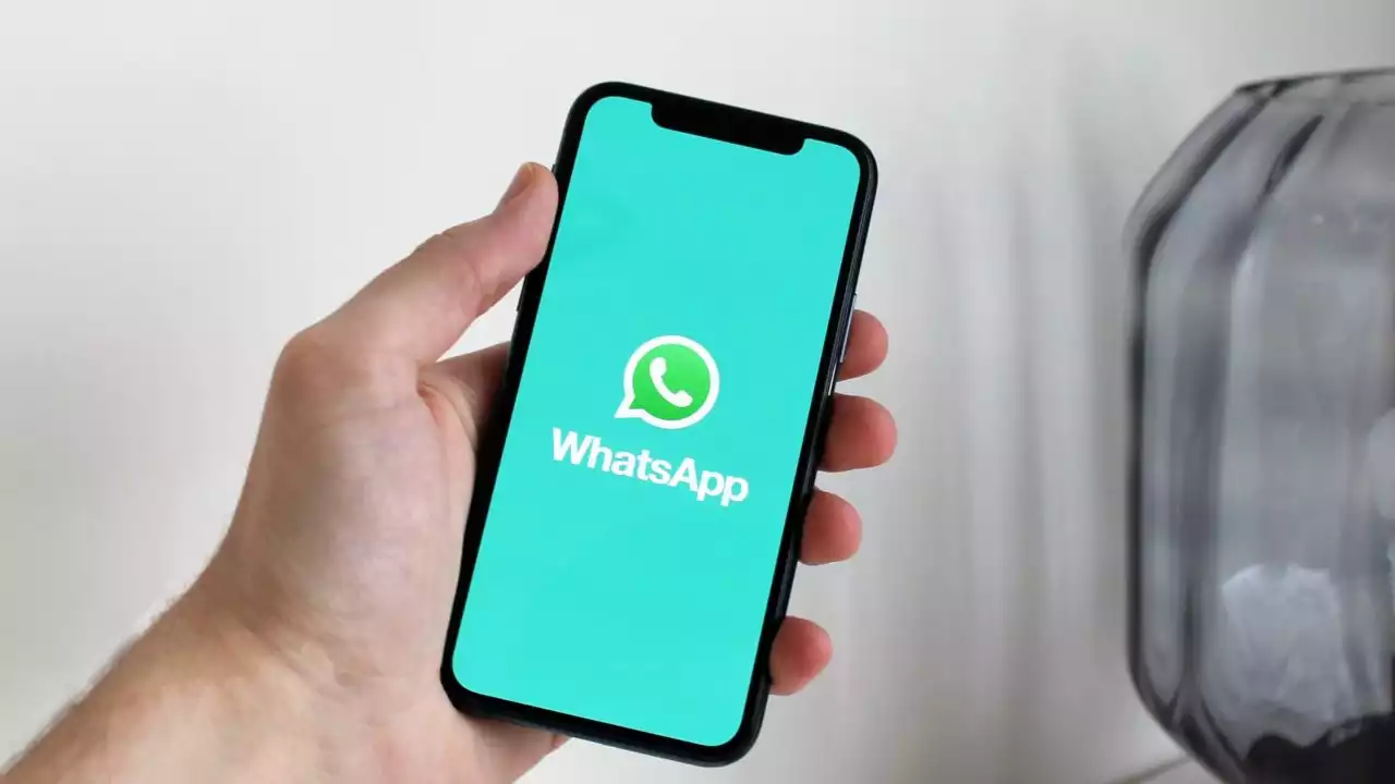 WhatsApp do iPhone agora permite extrair texto de imagens