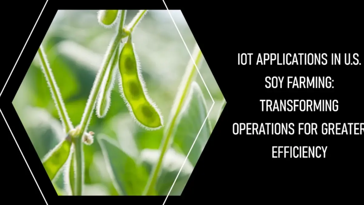 Aplicações de IoT na Agricultura de Soja dos EUA: Transformando as Operações para Maior Eficiência 1