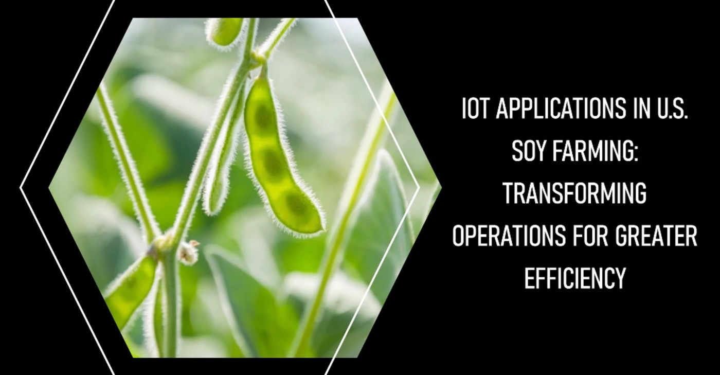Aplicações de IoT na Agricultura de Soja dos EUA: Transformando as Operações para Maior Eficiência 21