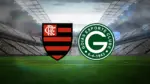 Como assistir Goiás e Flamengo ao vivo online no celular e computador 1