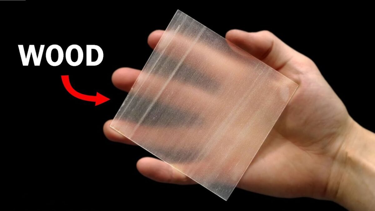 Madeira transparente? Por que os cientistas estão criando esse material tão diferente? 1