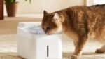 A palavra-chave com base no artigo é "Mijia Smart Pet Drinking Fountain 2".