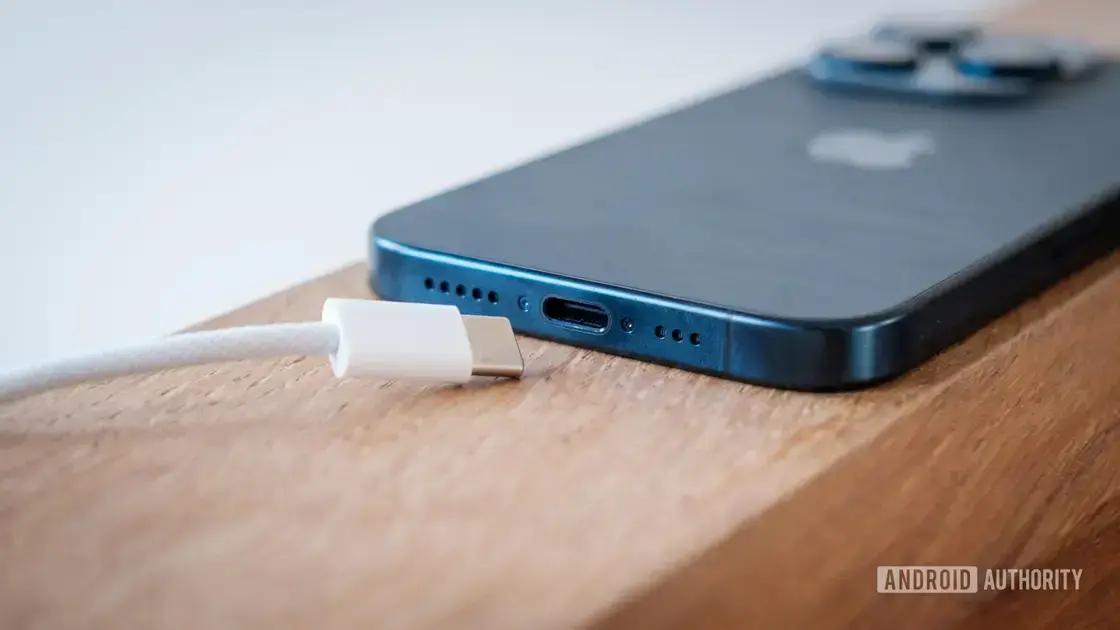 A palavra-chave com base no artigo em questão é "Carregador USB-C".