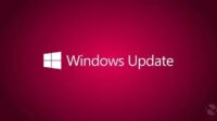 desinstalar Windows 11/10 updates