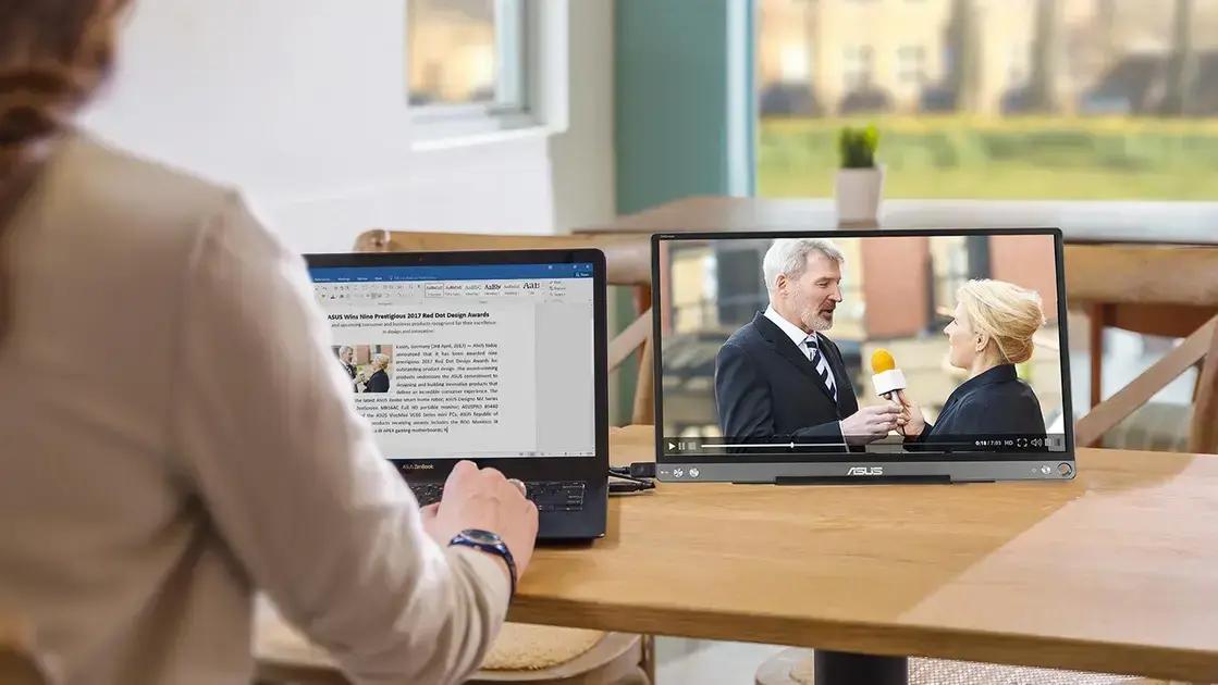 portable monitor