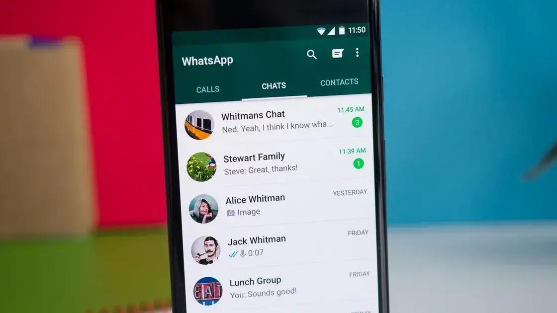 suporte humano WhatsApp no aplicativo web