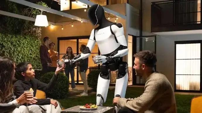 Humanoid robots