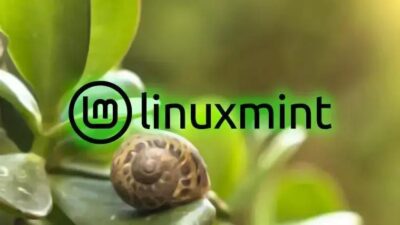 Linux Mint 22.1