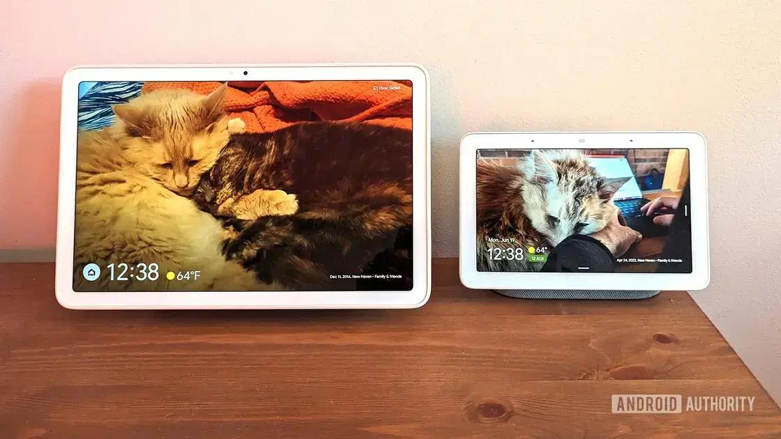 Nest Hub and Audio