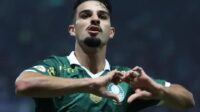 Palmeiras x Novorizontino