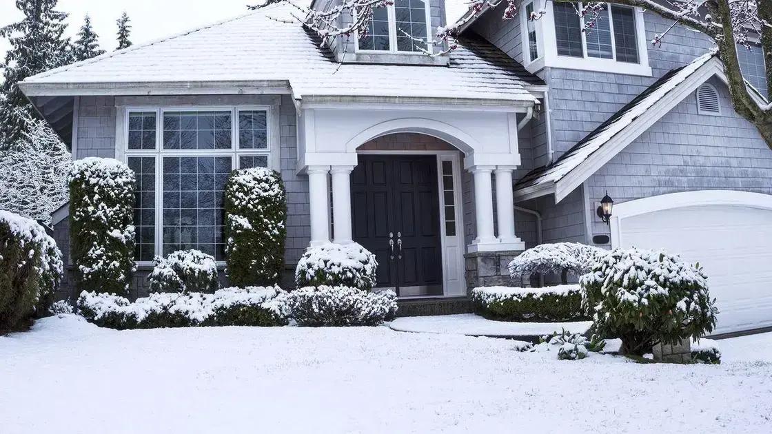 snow damage protection