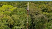 Torre de medição Amazônia