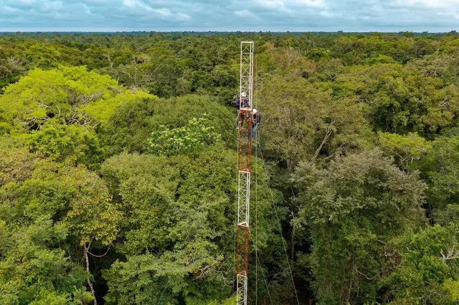 Torre de medição Amazônia