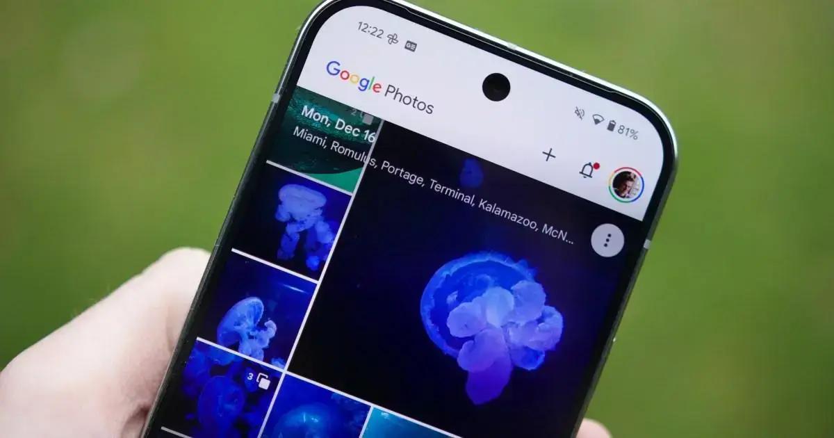 Novas funções de organização Google Photos