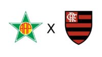 Portuguesa x Flamengo ao vivo